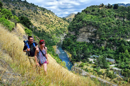 Kauaeranga Kauri Trail