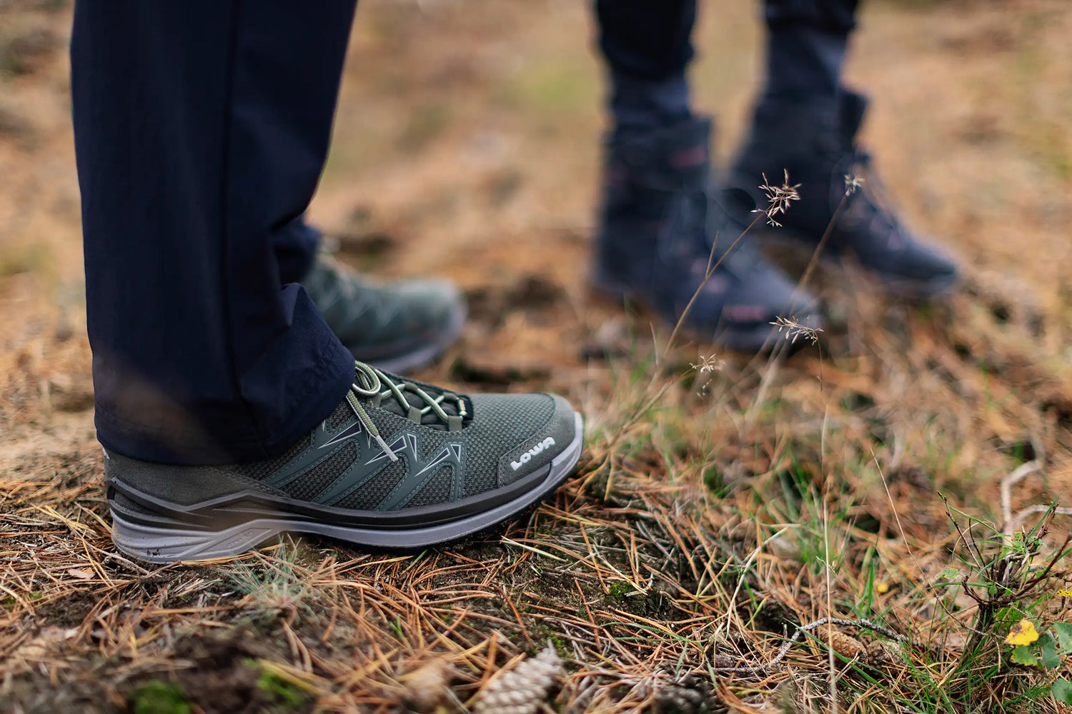 Lowa innox low online